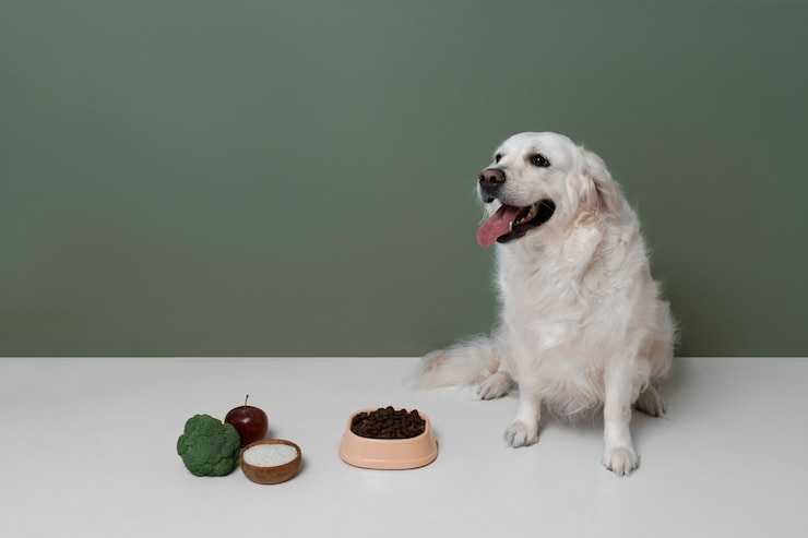 natural dog treats