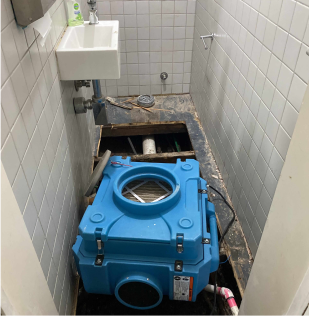 Professional Mould Removal
