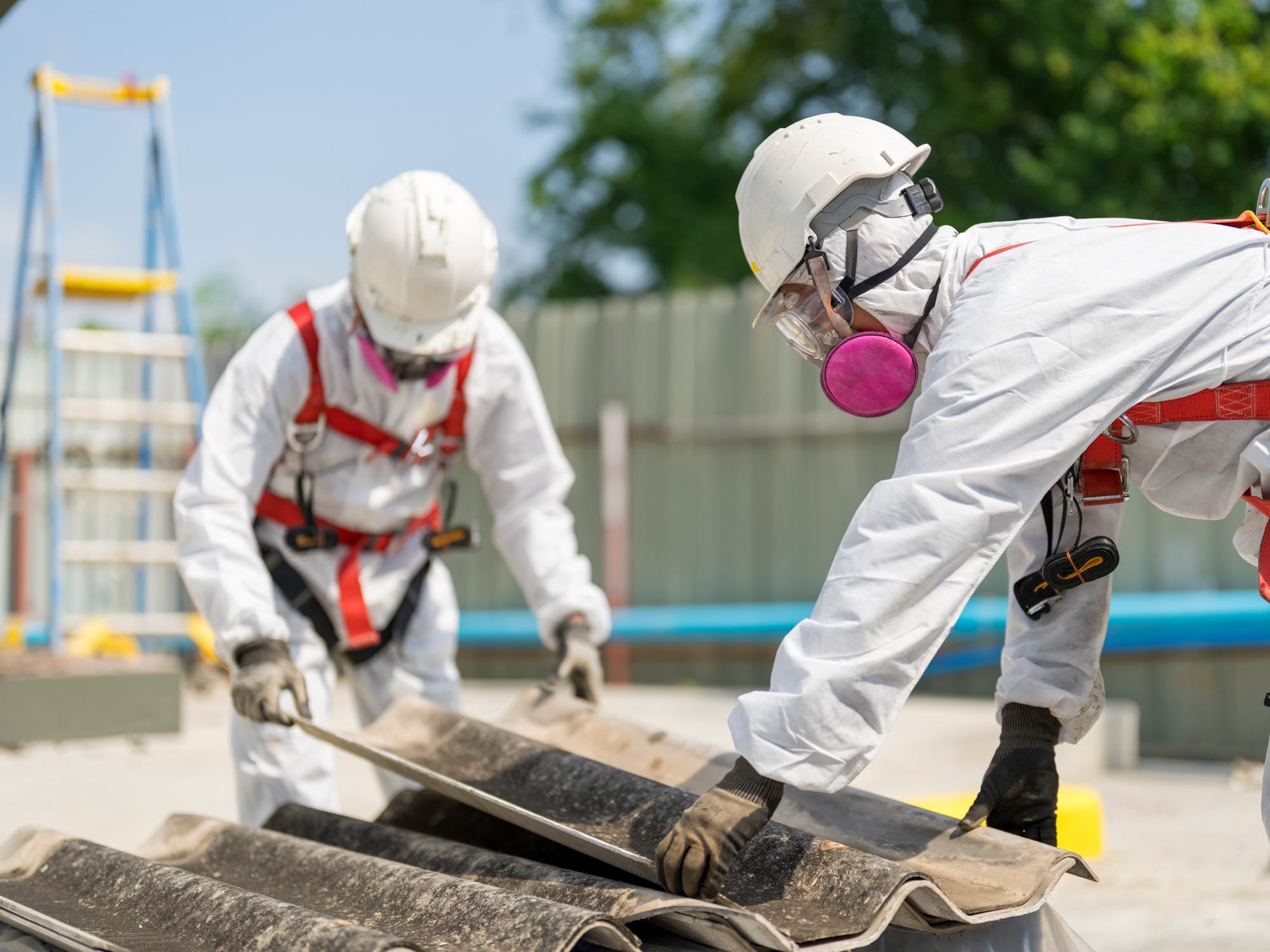 asbestos removal cost is important